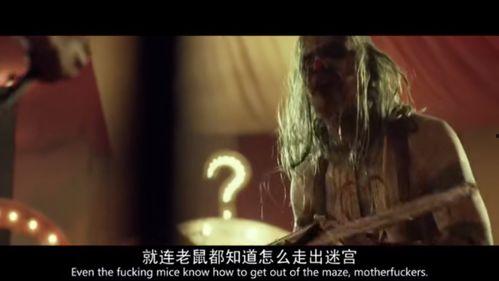 电影三十一在线观看,揭秘电影背后的秘密与激情